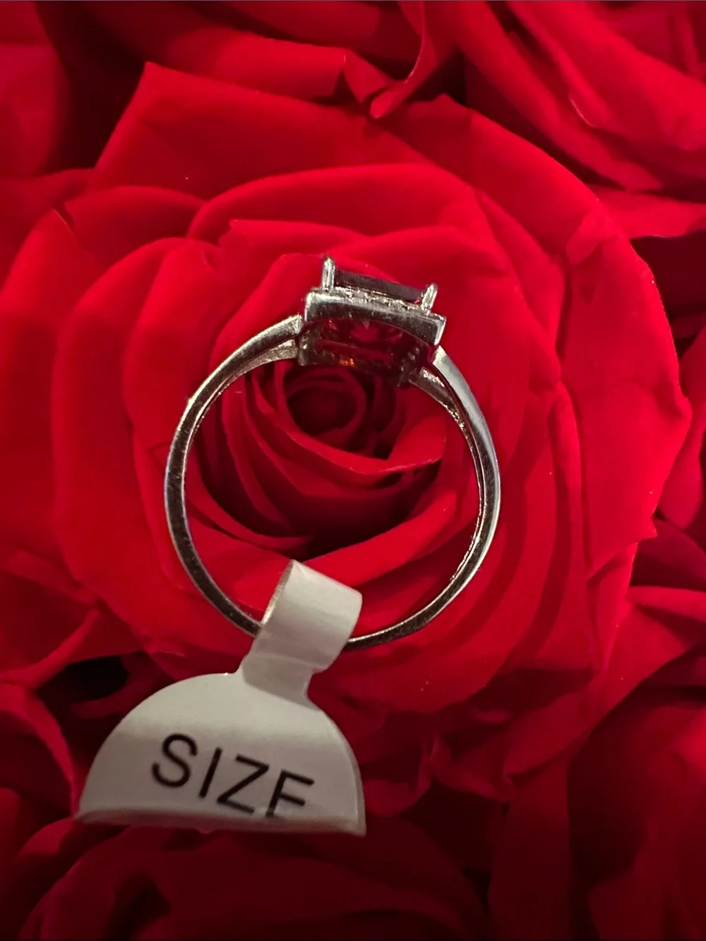 Sterling silver 925 halo ring